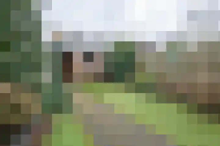 Patrijzenhof 193 Eemnes thumbnail 45