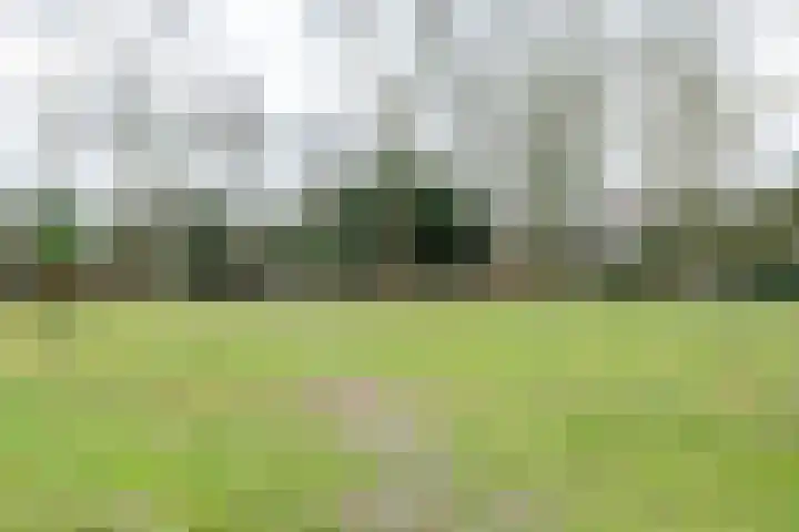 Patrijzenhof 193 Eemnes thumbnail 50