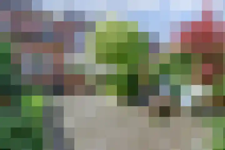 Patrijzenhof 3 Amersfoort thumbnail 25