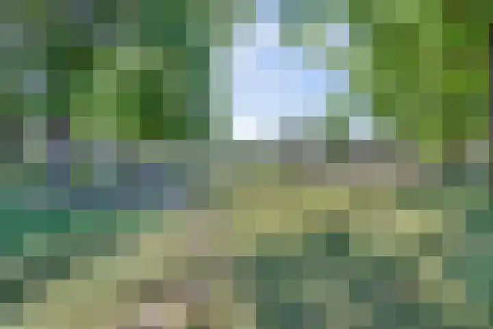Patrijzenhof 3 Amersfoort thumbnail 31
