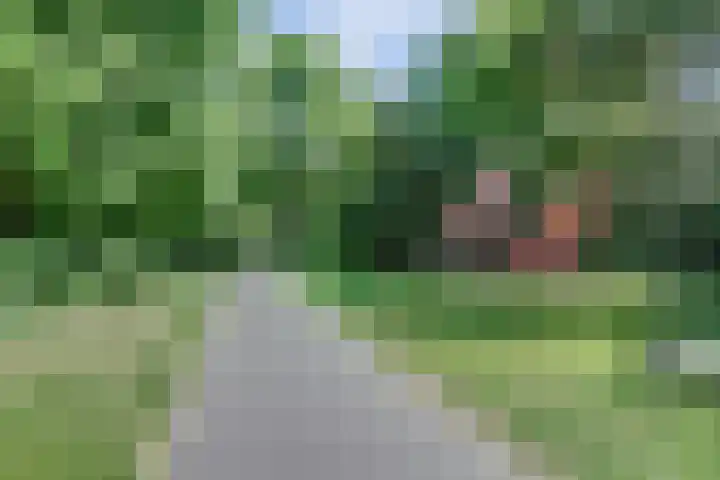 Patrijzenhof 3 Amersfoort thumbnail 32