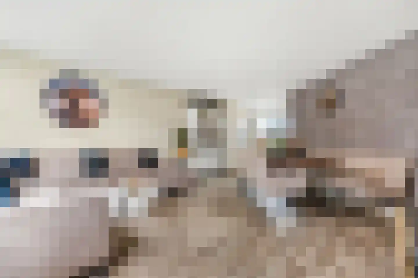 Patrijzenhof 4 Barneveld thumbnail 11
