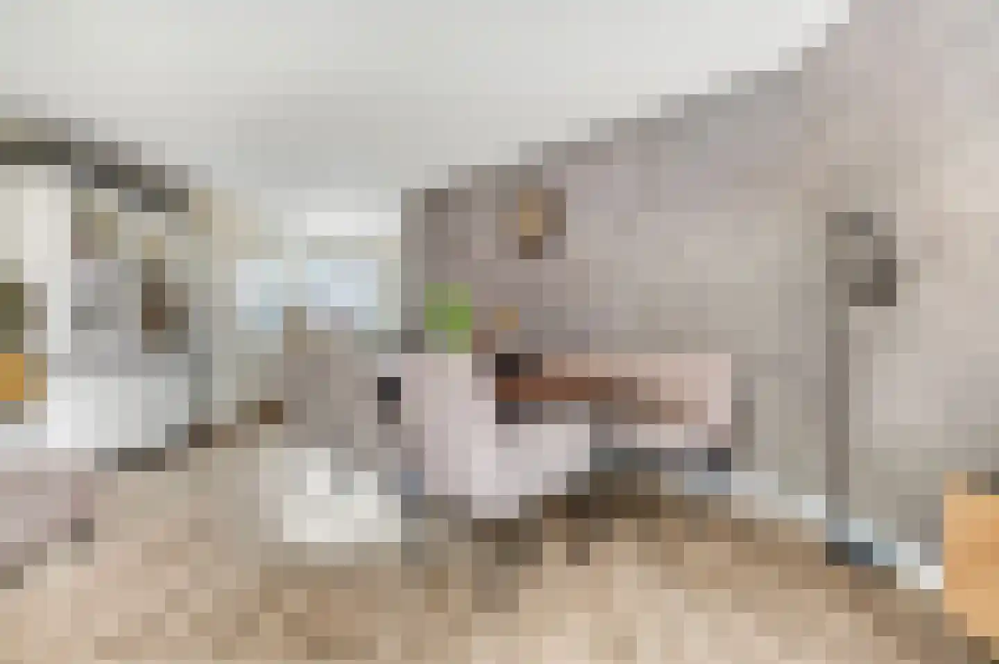 Patrijzenhof 4 Barneveld thumbnail 12