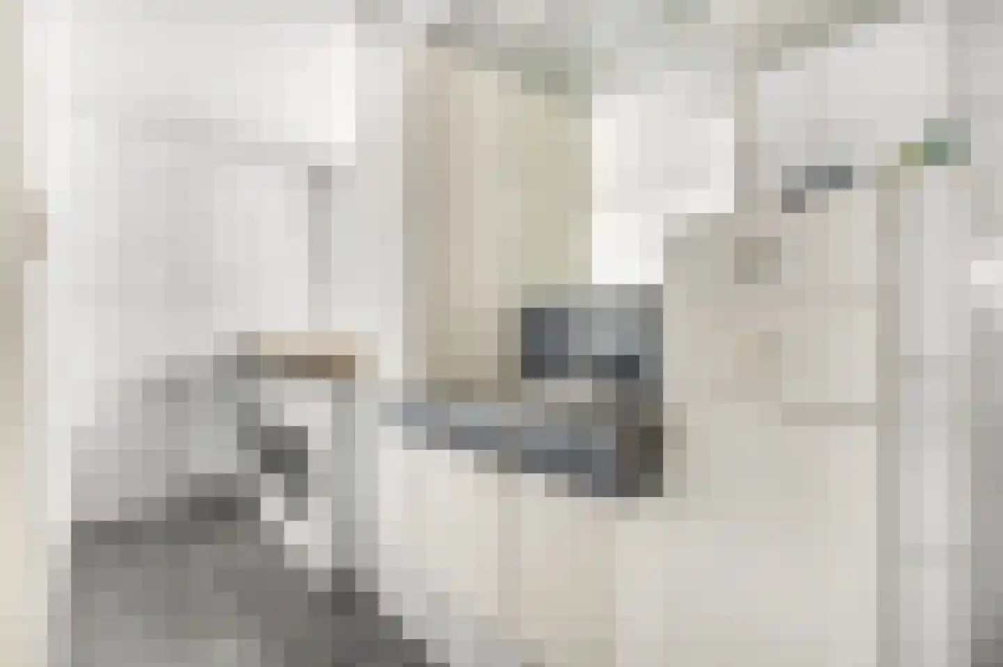 Patrijzenhof 4 Barneveld thumbnail 27