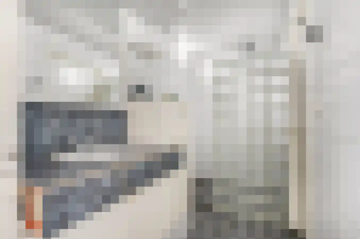 Patrijzenhof 4 Barneveld thumbnail 30