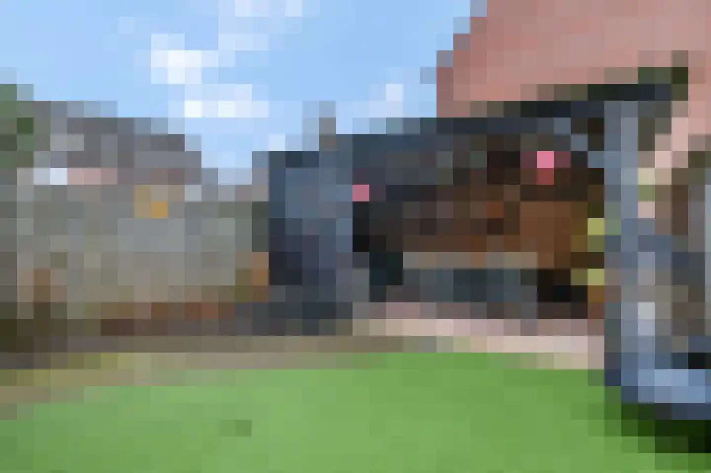 Patrijzenhof 4 Barneveld thumbnail 40