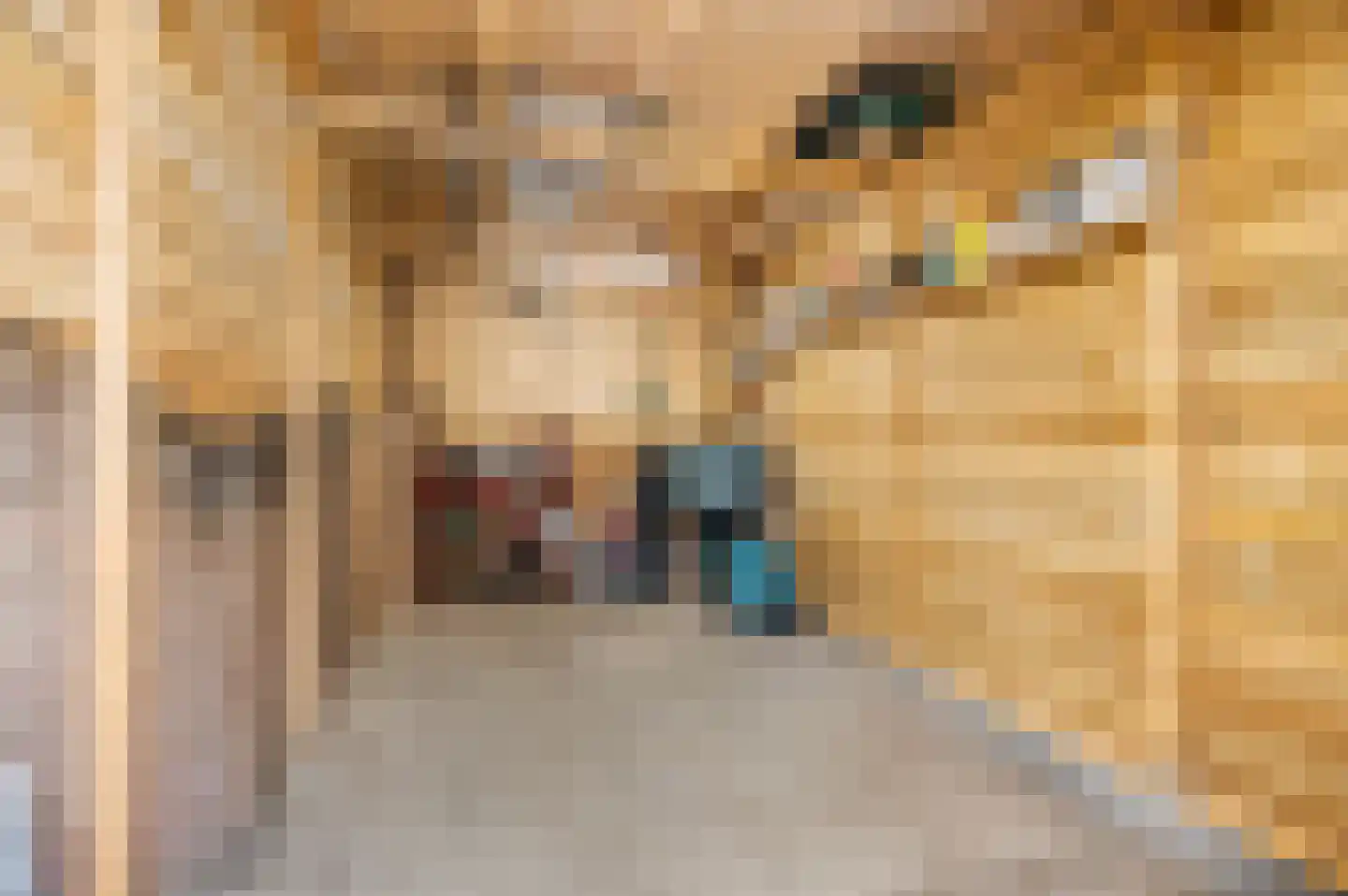 Patrijzenhof 4 Barneveld thumbnail 44