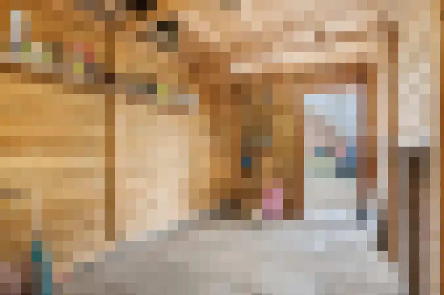 Patrijzenhof 4 Barneveld thumbnail 45