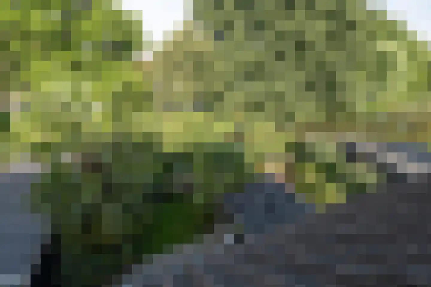 Patrijzenhof 46 Barneveld thumbnail 37