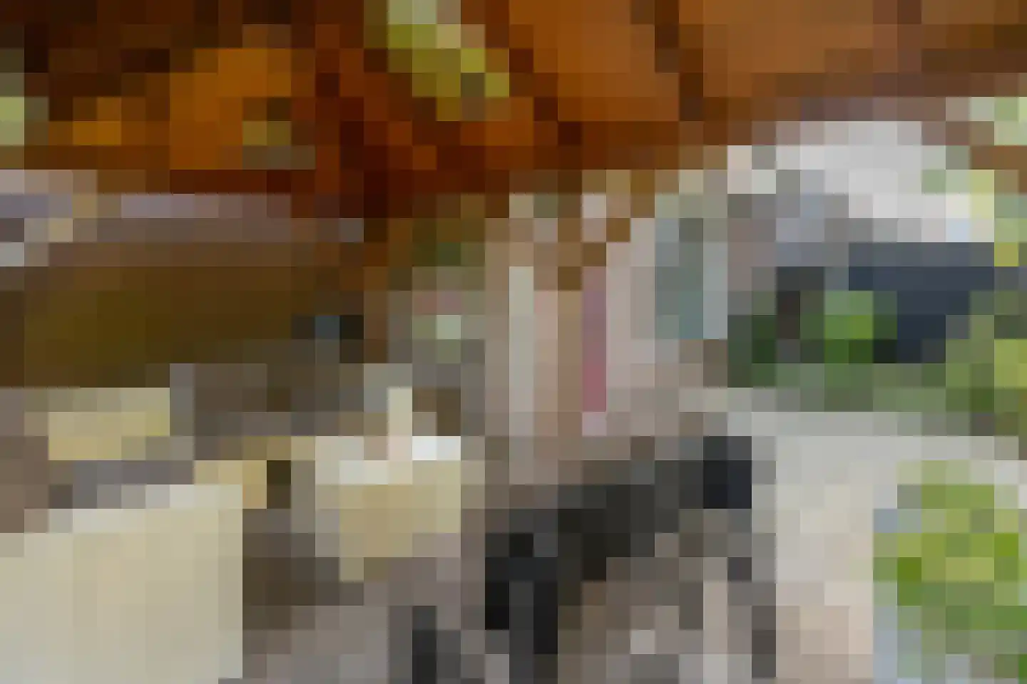 Patrijzenhof 46 Barneveld thumbnail 41