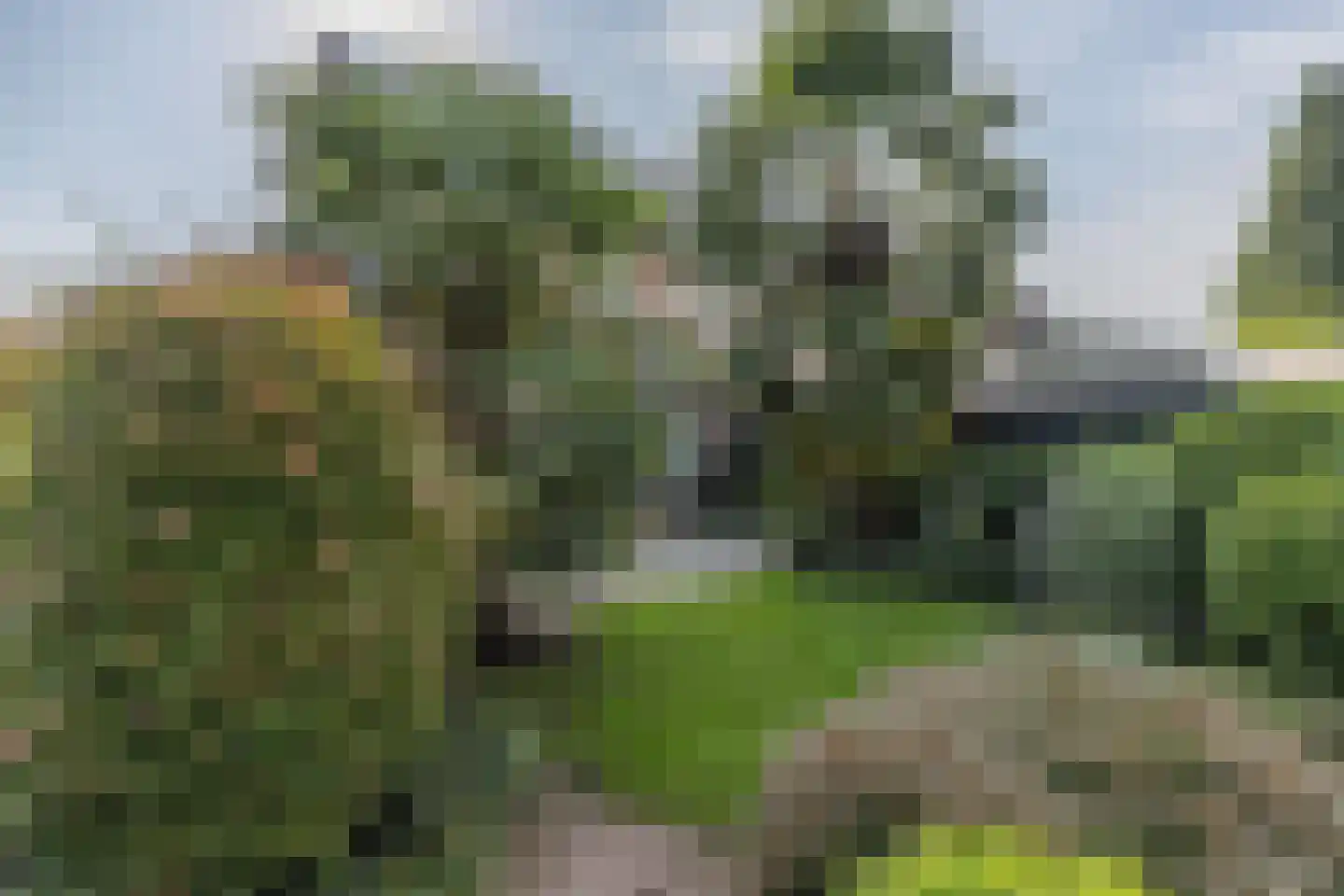 Patrijzenhof 46 Barneveld thumbnail 43