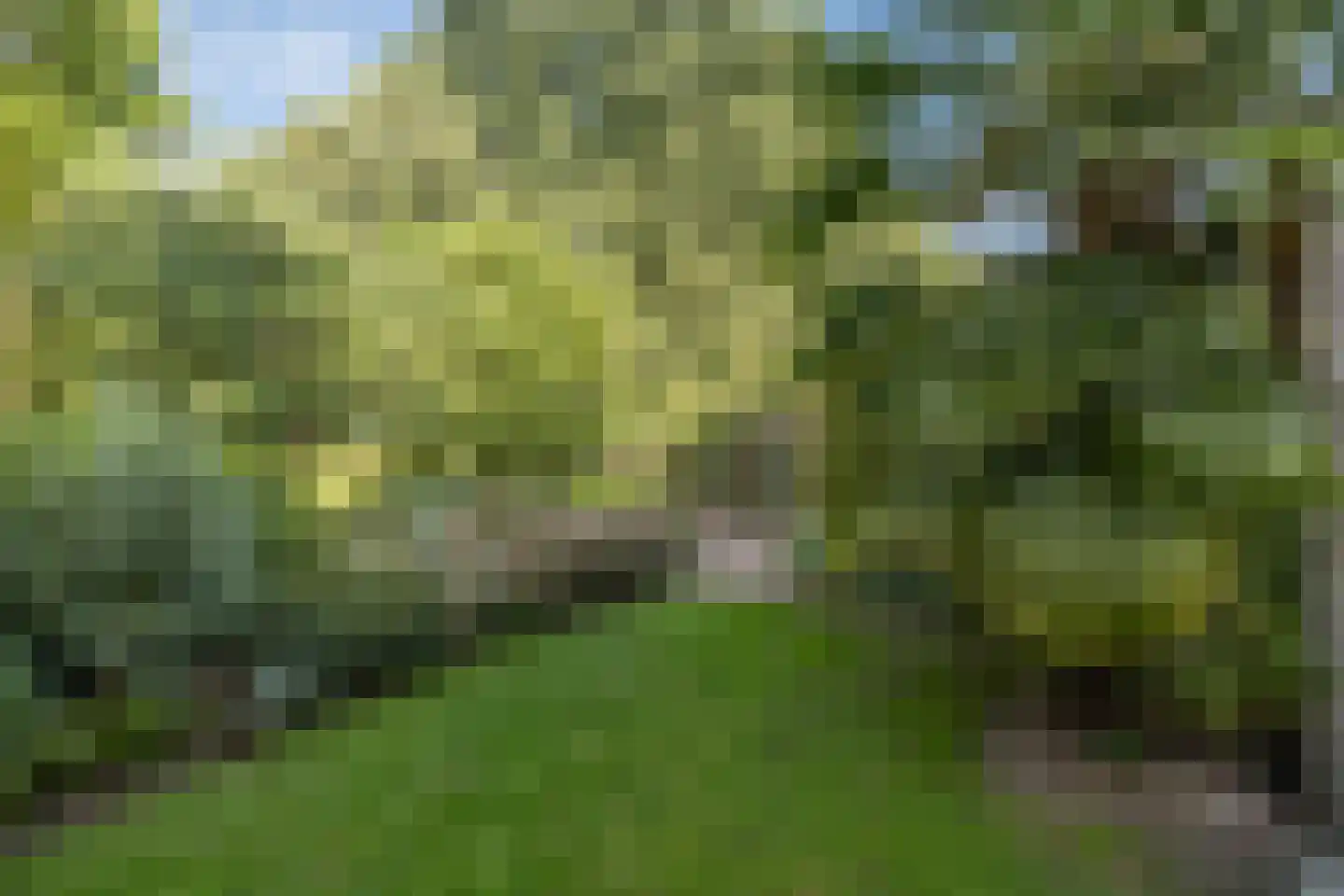 Patrijzenhof 46 Barneveld thumbnail 44