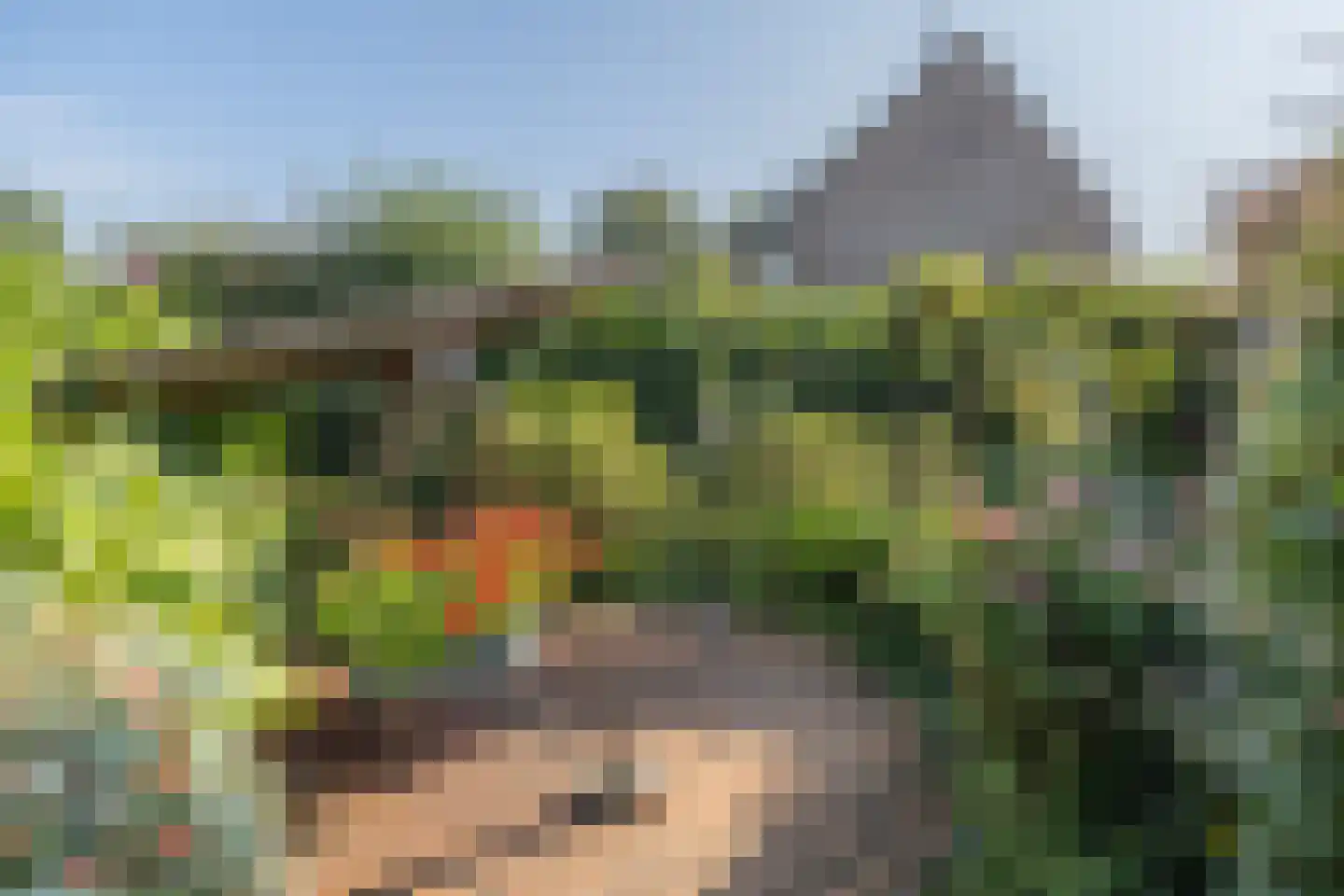 Patrijzenhof 46 Barneveld thumbnail 45