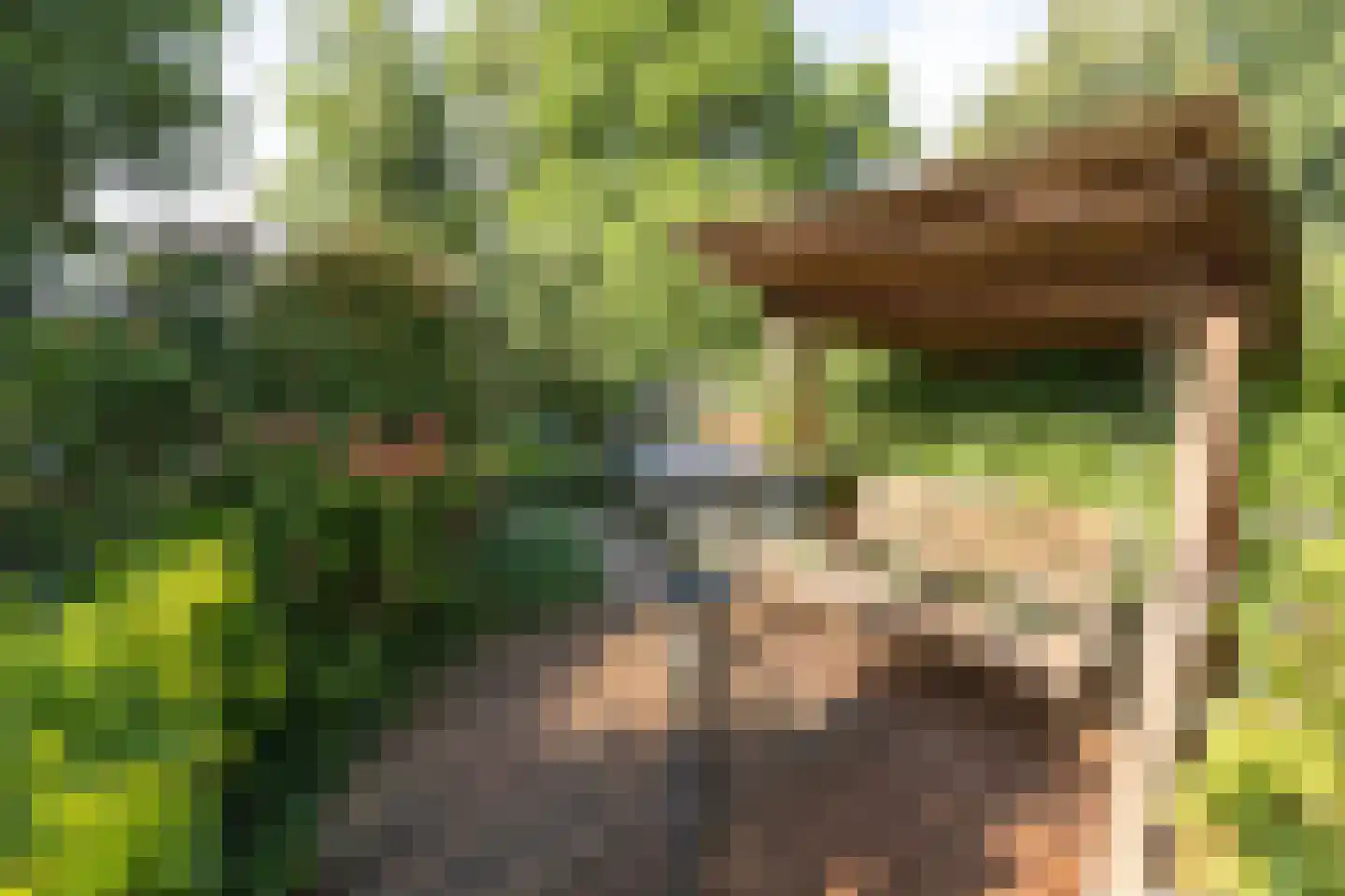 Patrijzenhof 46 Barneveld thumbnail 46