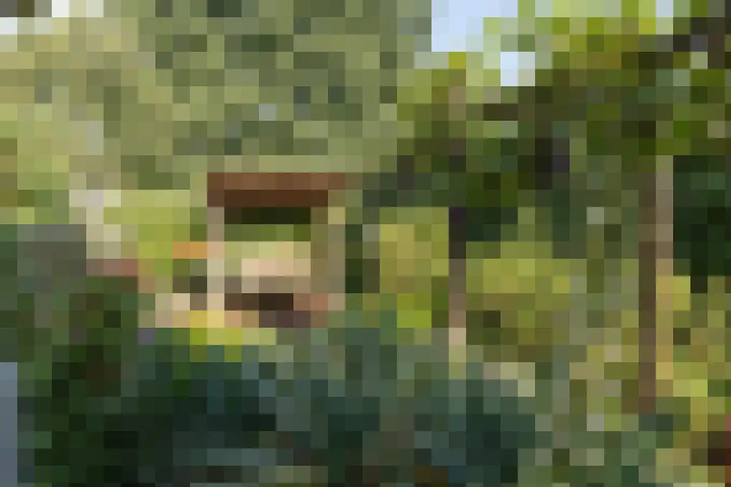 Patrijzenhof 46 Barneveld thumbnail 47
