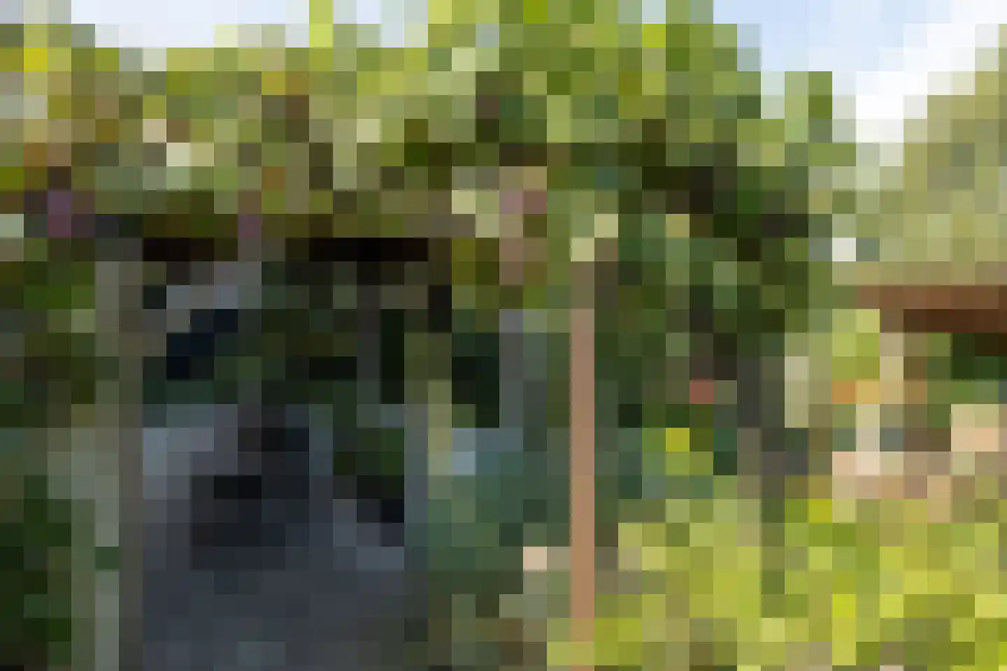Patrijzenhof 46 Barneveld thumbnail 48