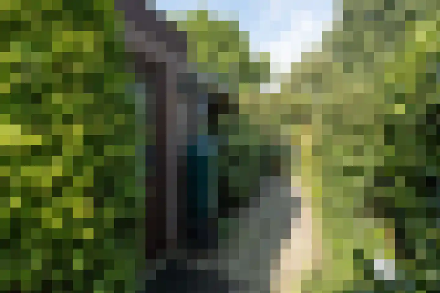 Patrijzenhof 46 Barneveld thumbnail 49