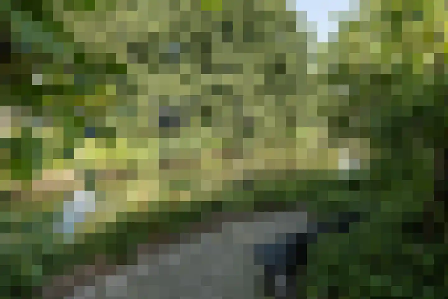 Patrijzenhof 46 Barneveld thumbnail 51