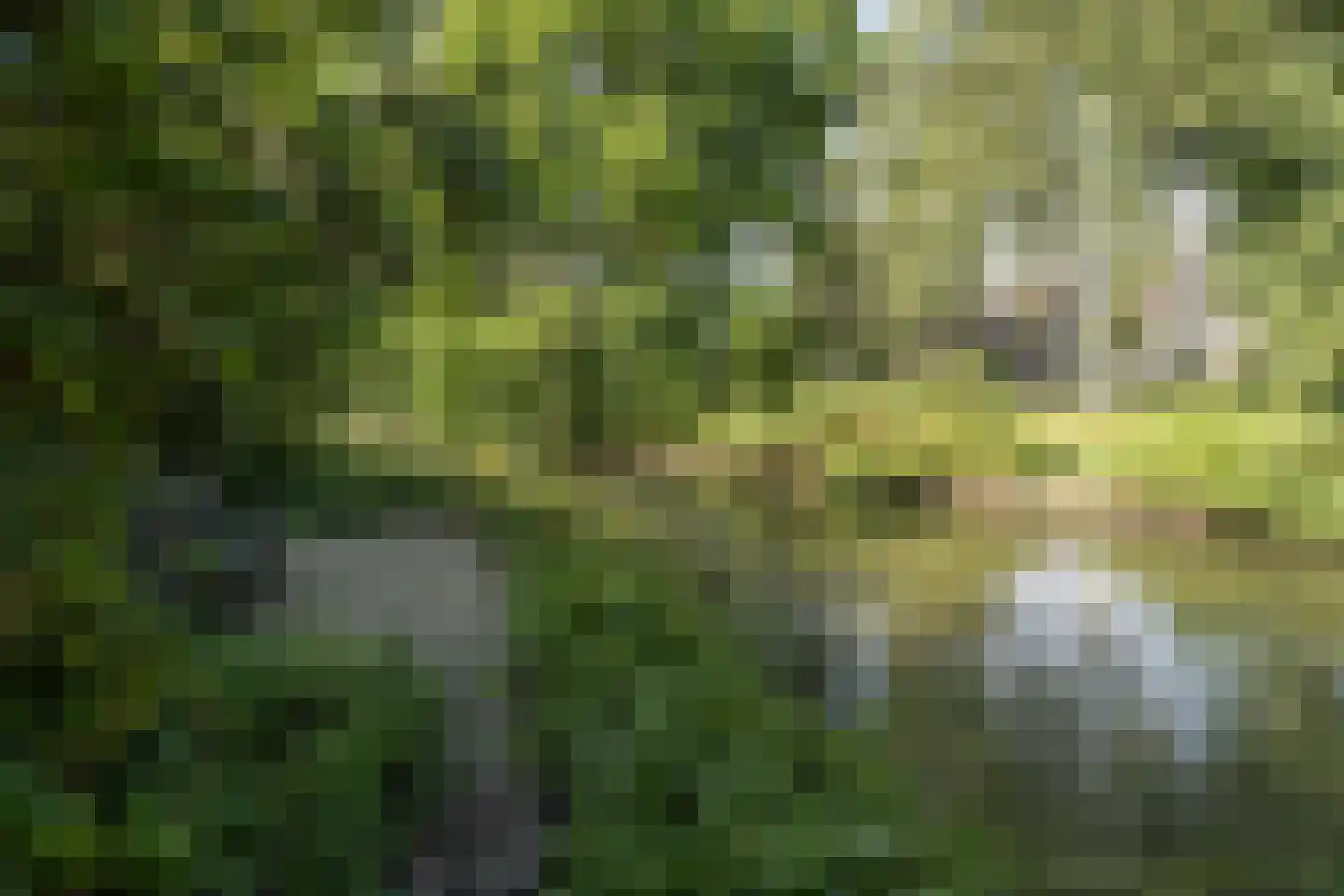 Patrijzenhof 46 Barneveld thumbnail 52