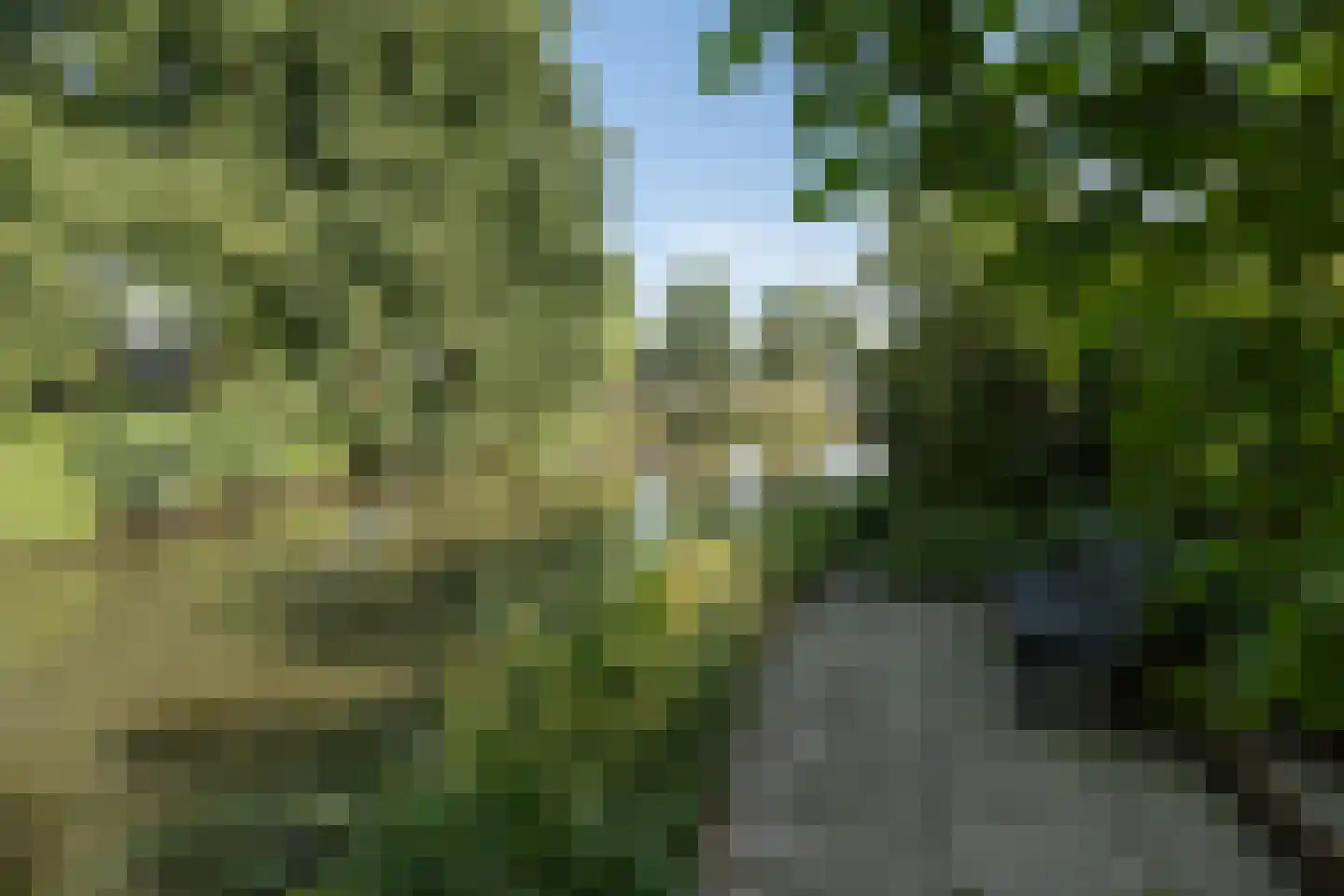 Patrijzenhof 46 Barneveld thumbnail 53