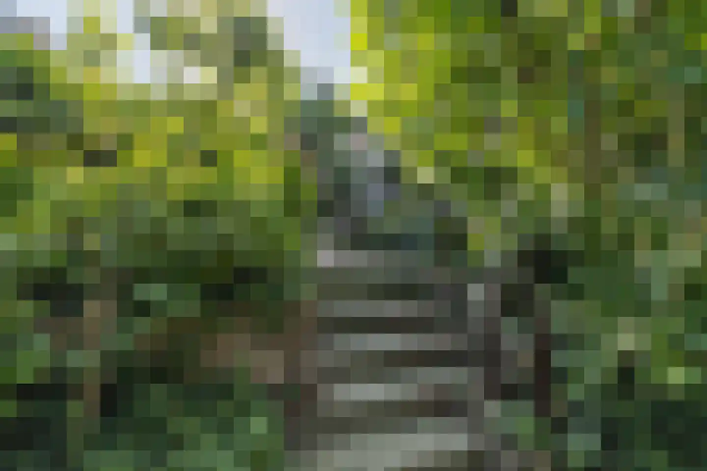Patrijzenhof 46 Barneveld thumbnail 54