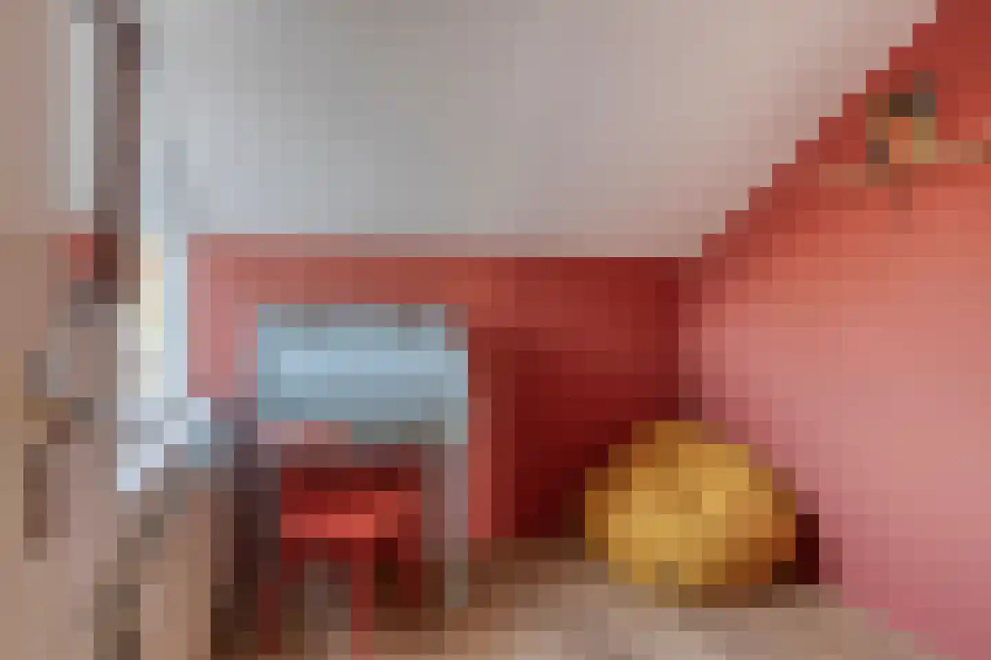 Patrijzenhof 5 Schagen thumbnail 17