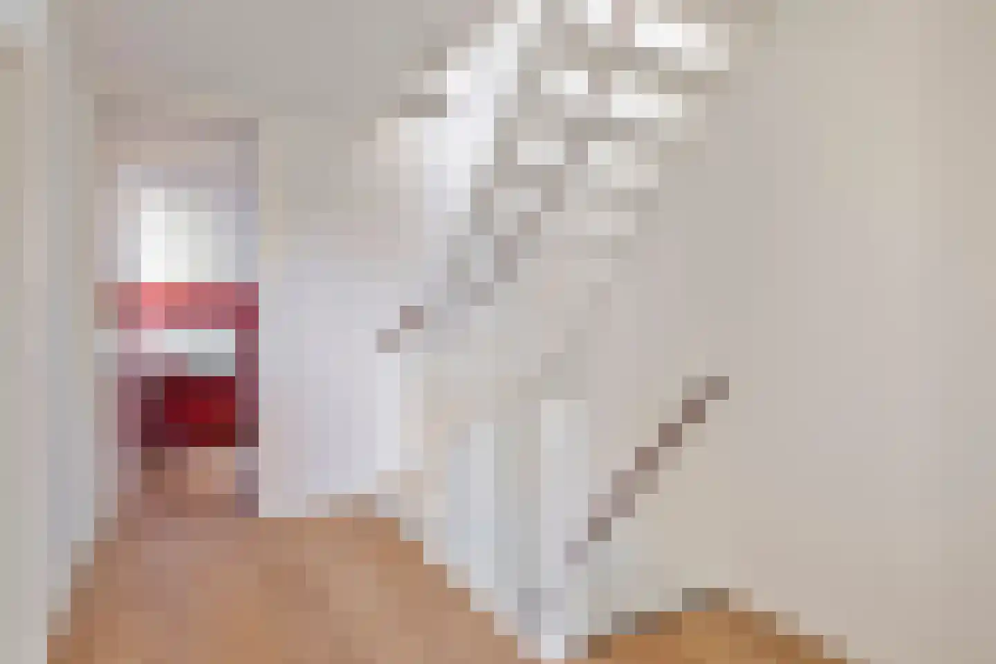Patrijzenhof 5 Schagen thumbnail 22