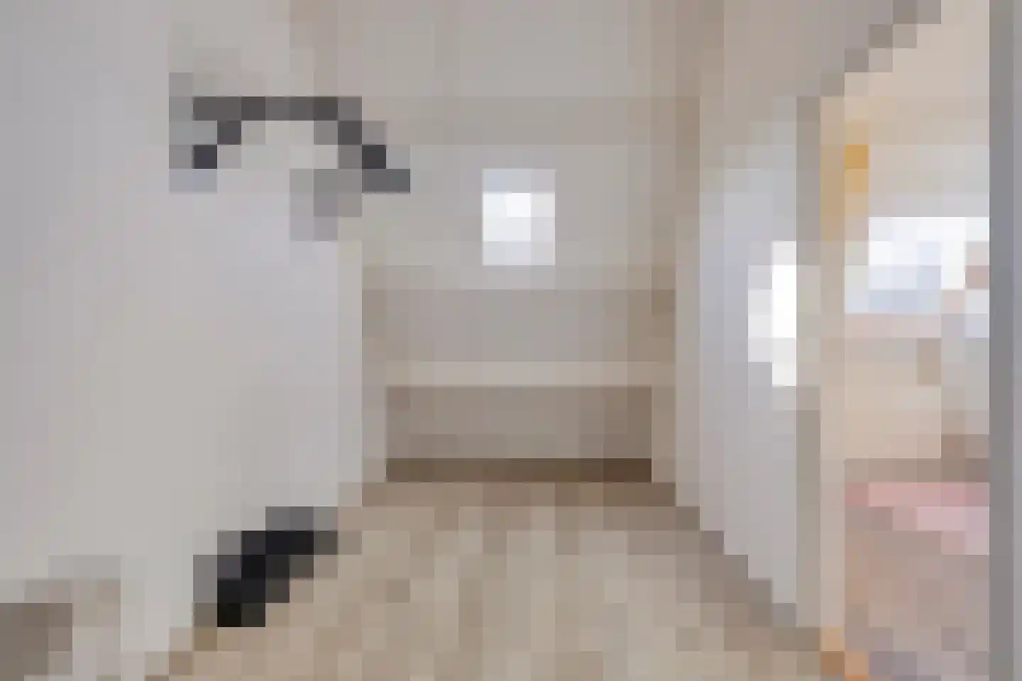 Patrijzenhof 5 Schagen thumbnail 23