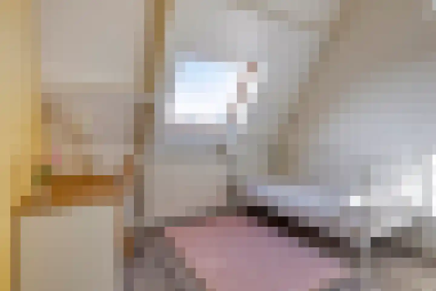 Patrijzenhof 5 Schagen thumbnail 24