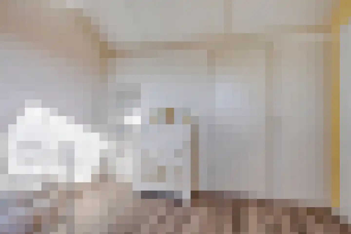 Patrijzenhof 5 Schagen thumbnail 26