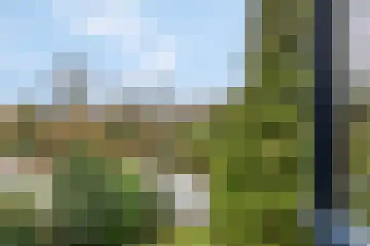 Patrijzenhof 58 Barneveld thumbnail 20