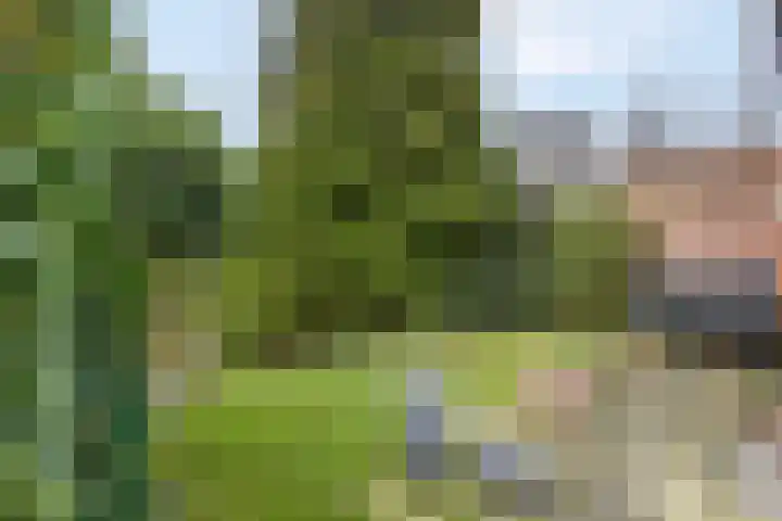 Patrijzenhof 58 Barneveld thumbnail 29