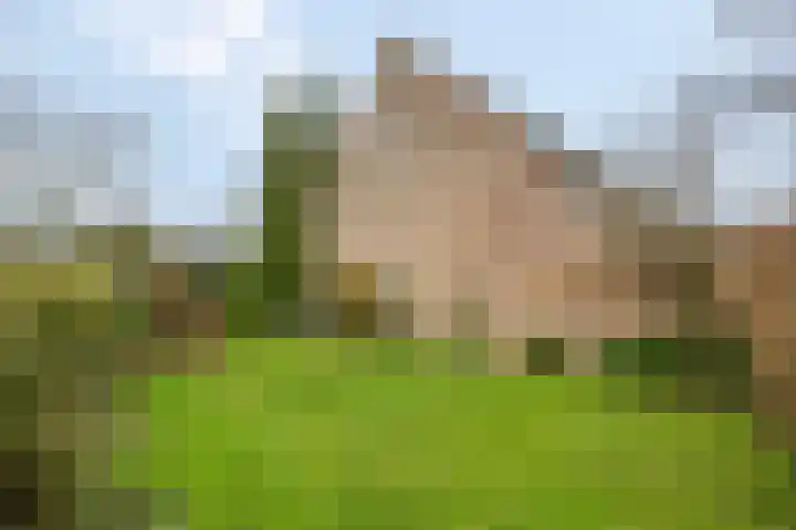 Patrijzenhof 58 Barneveld thumbnail 31