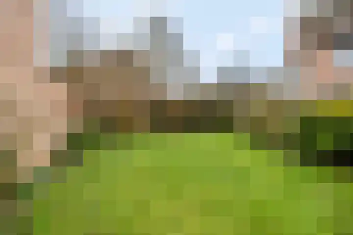 Patrijzenhof 58 Barneveld thumbnail 32