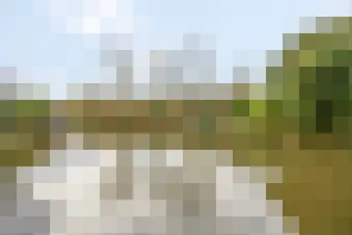 Patrijzenhof 58 Barneveld thumbnail 33