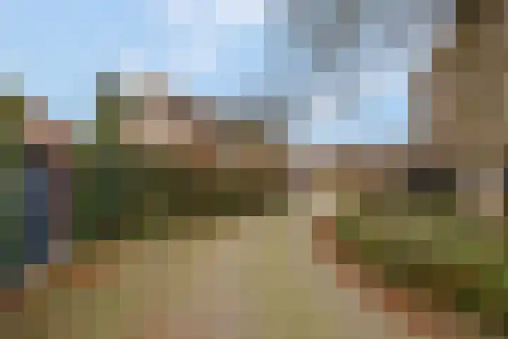 Patrijzenhof 58 Barneveld thumbnail 39