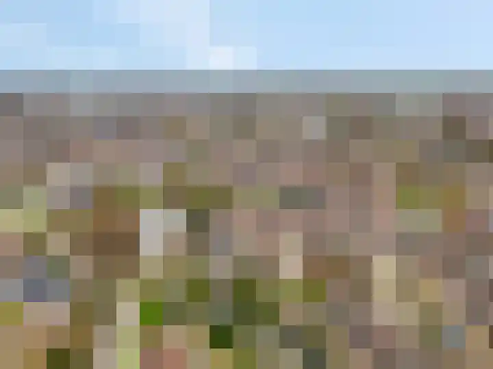 Patrijzenhof 58 Barneveld thumbnail 4