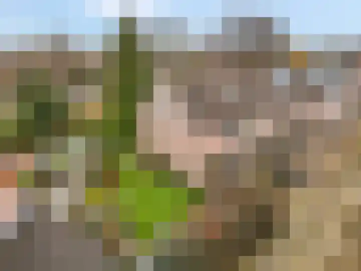 Patrijzenhof 58 Barneveld thumbnail 5