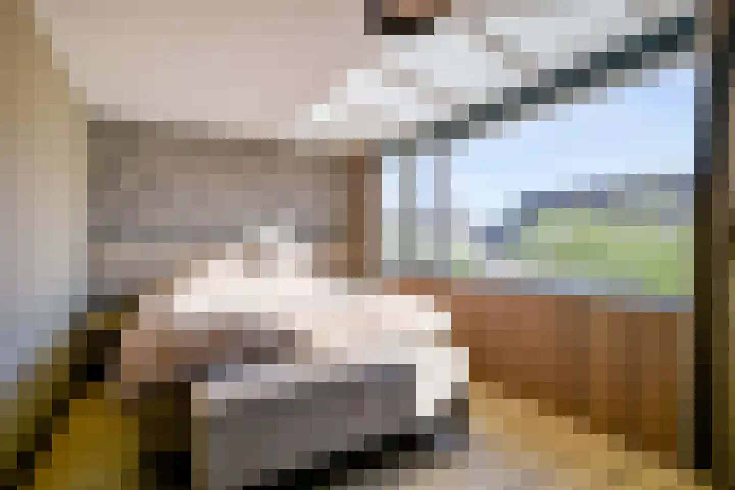 Patrijzenhof 59 Schagen thumbnail 18