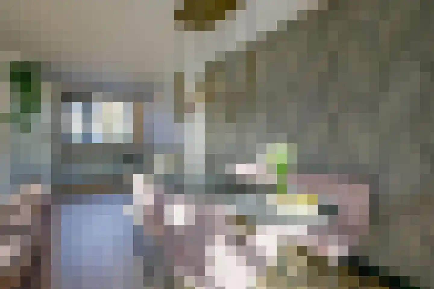 Patrijzenhof 59 Schagen thumbnail 8