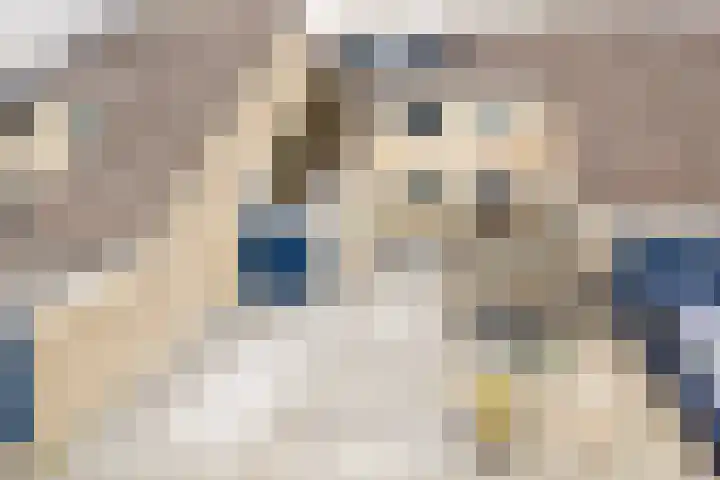 Patrijzenhof 62 Schagen thumbnail 36