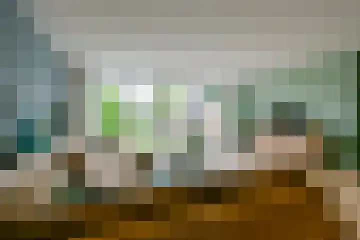 Patrijzenhof 62 Schagen thumbnail 6