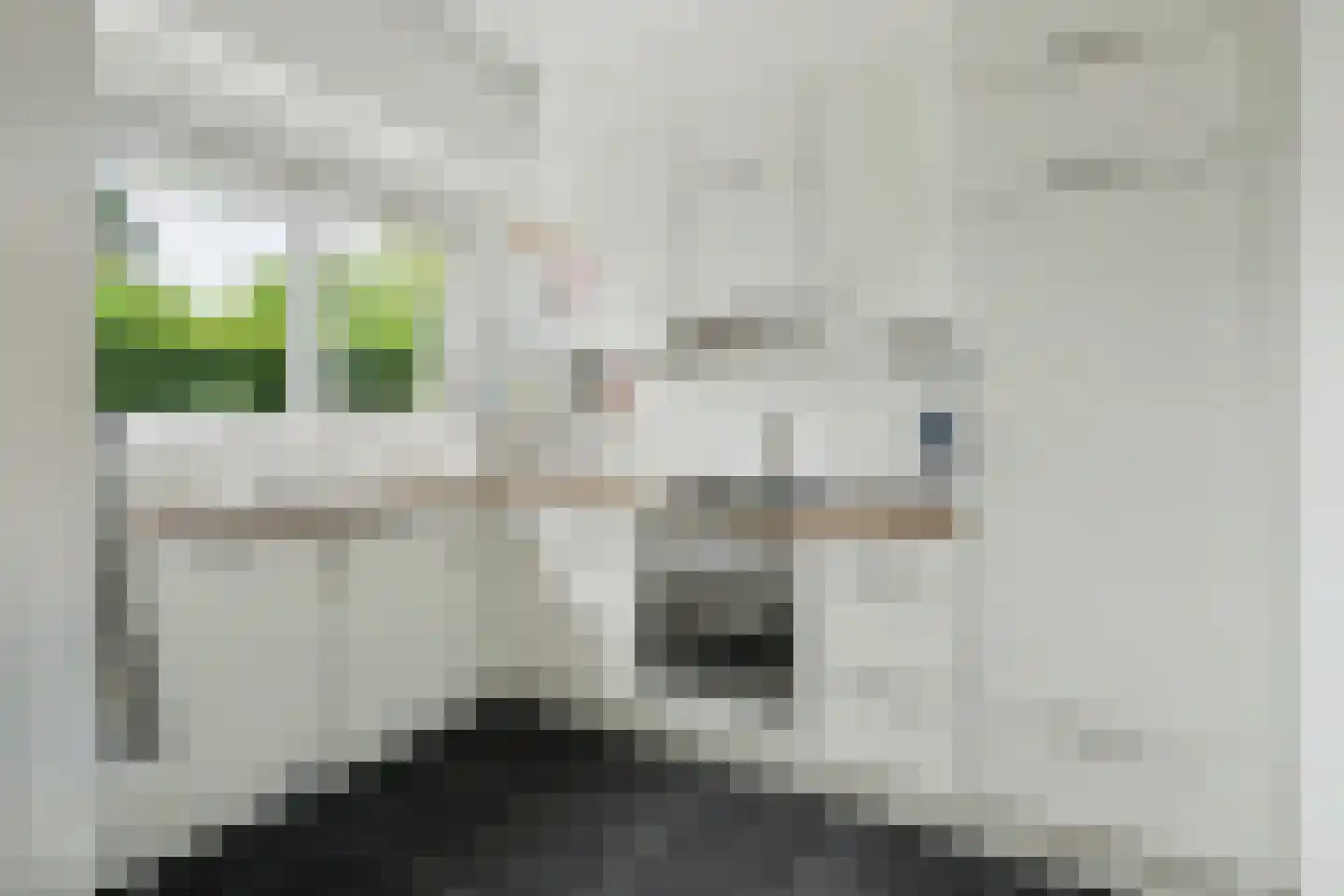 Patrijzenlaan 11 Kamperland thumbnail 12