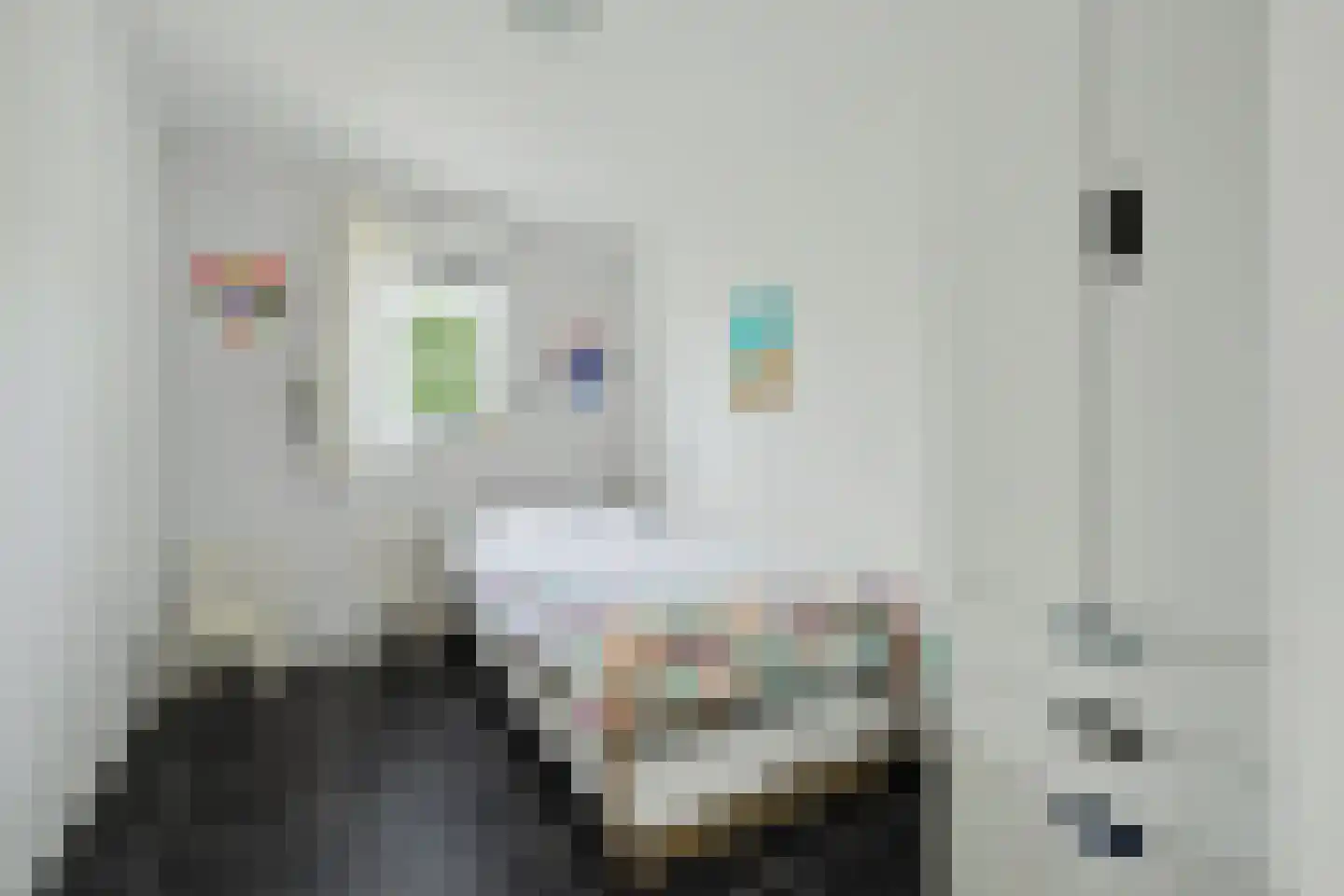 Patrijzenlaan 11 Kamperland thumbnail 17