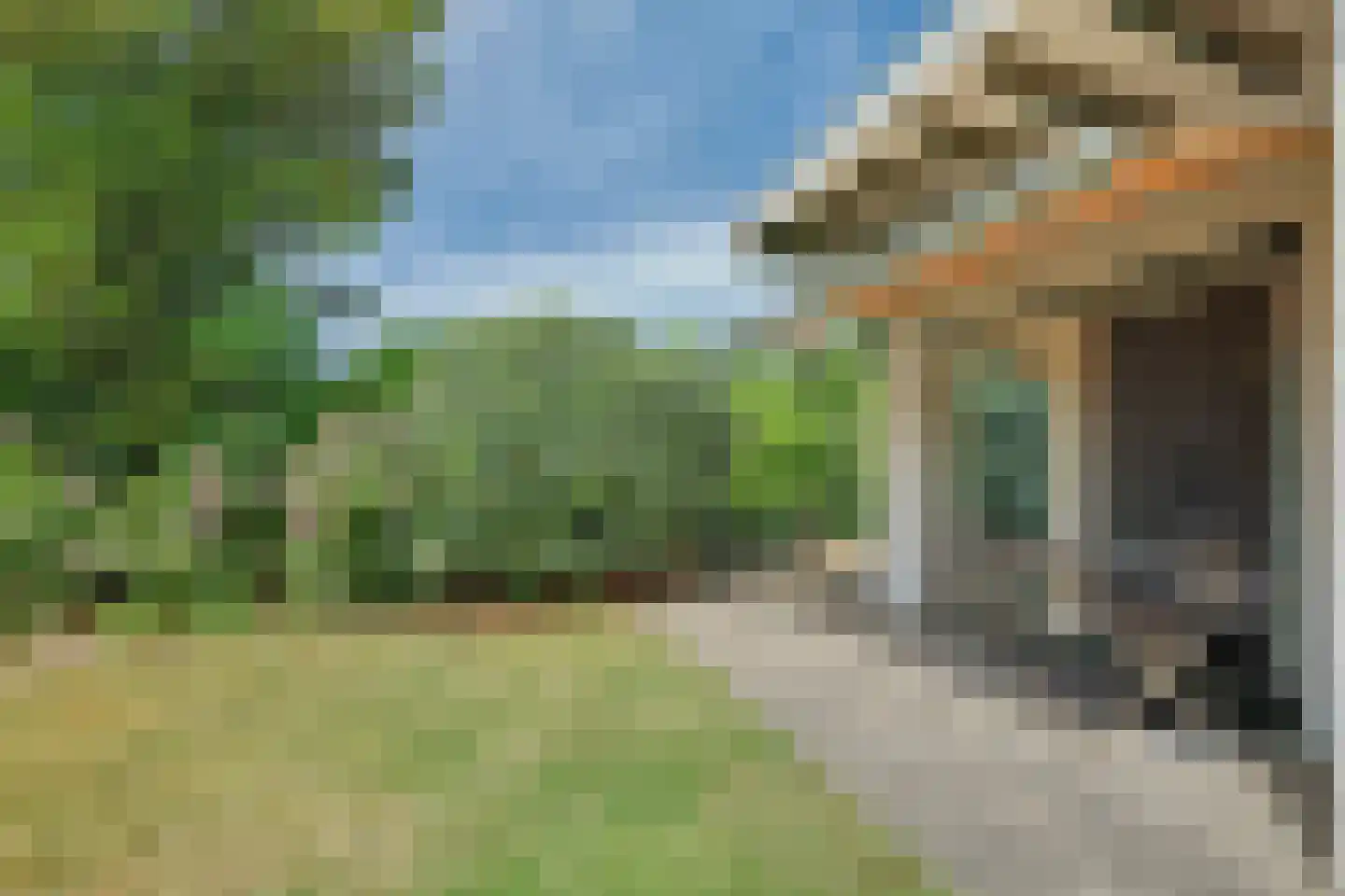 Patrijzenlaan 11 Kamperland thumbnail 22