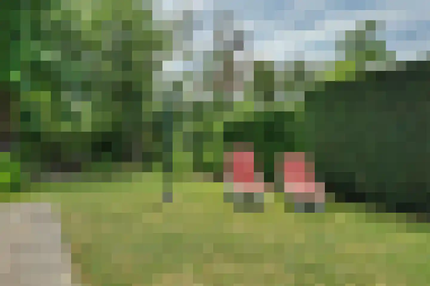 Patrijzenlaan 11 Kamperland thumbnail 24
