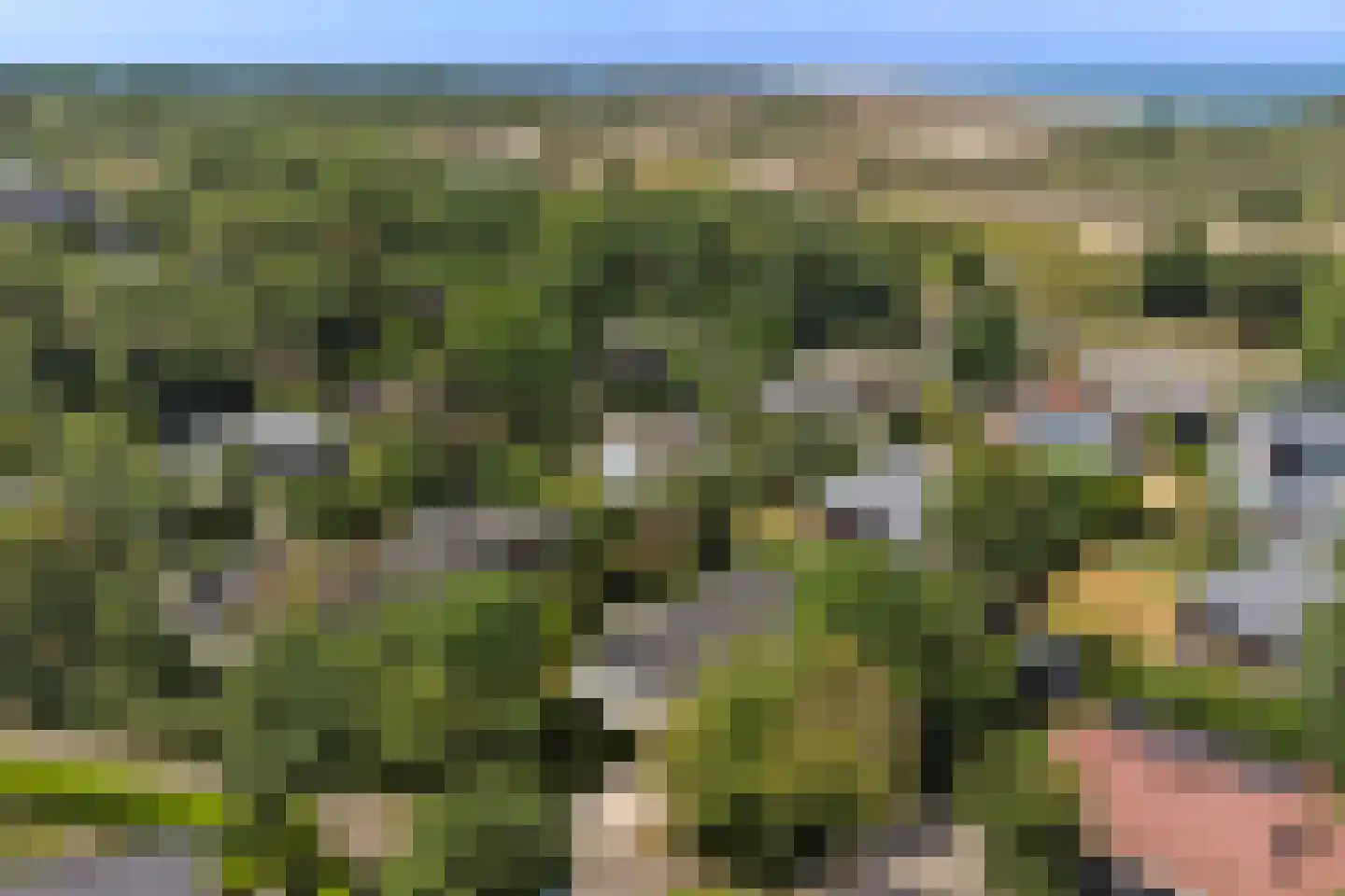 Patrijzenlaan 11 Kamperland thumbnail 26