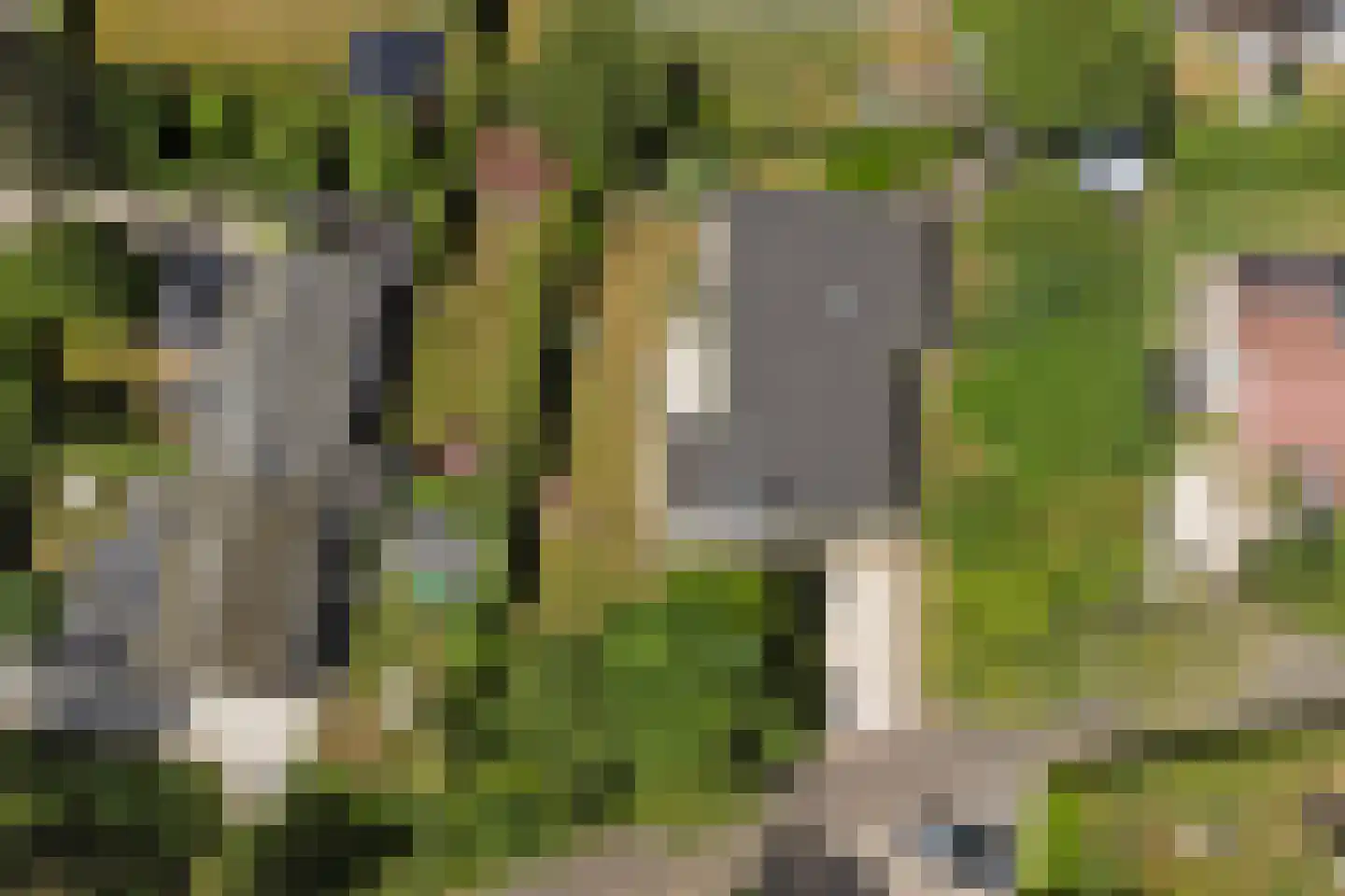 Patrijzenlaan 11 Kamperland thumbnail 27