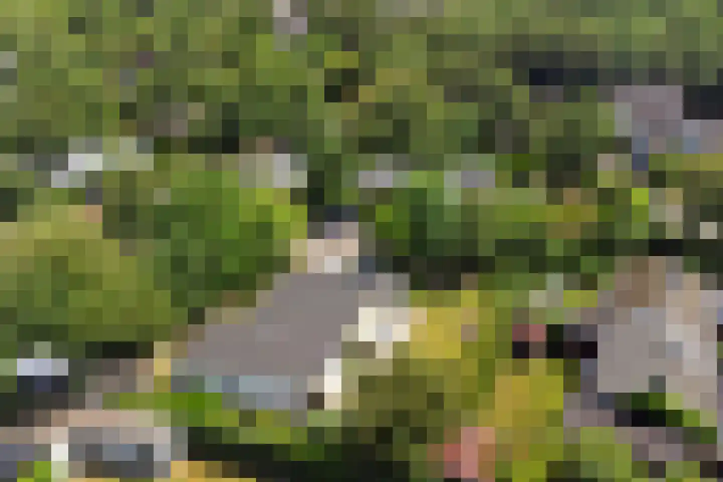 Patrijzenlaan 11 Kamperland thumbnail 29