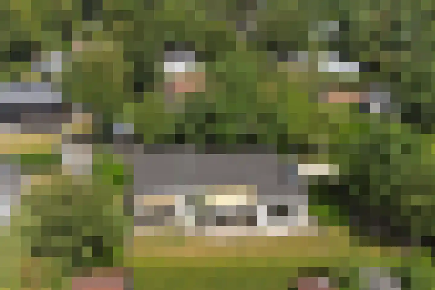 Patrijzenlaan 11 Kamperland thumbnail 30
